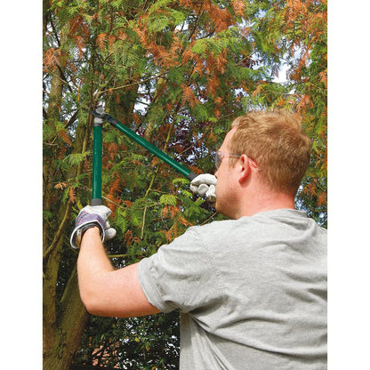 Draper Lopper, Shears and Secateurs Set