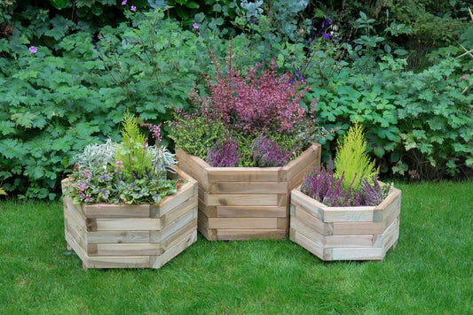 Image for Forest York Hexagonal Planter - Set of 3