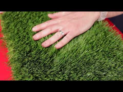 Artificial Grass Wisdom 40mm 4m Wide x 15m Length