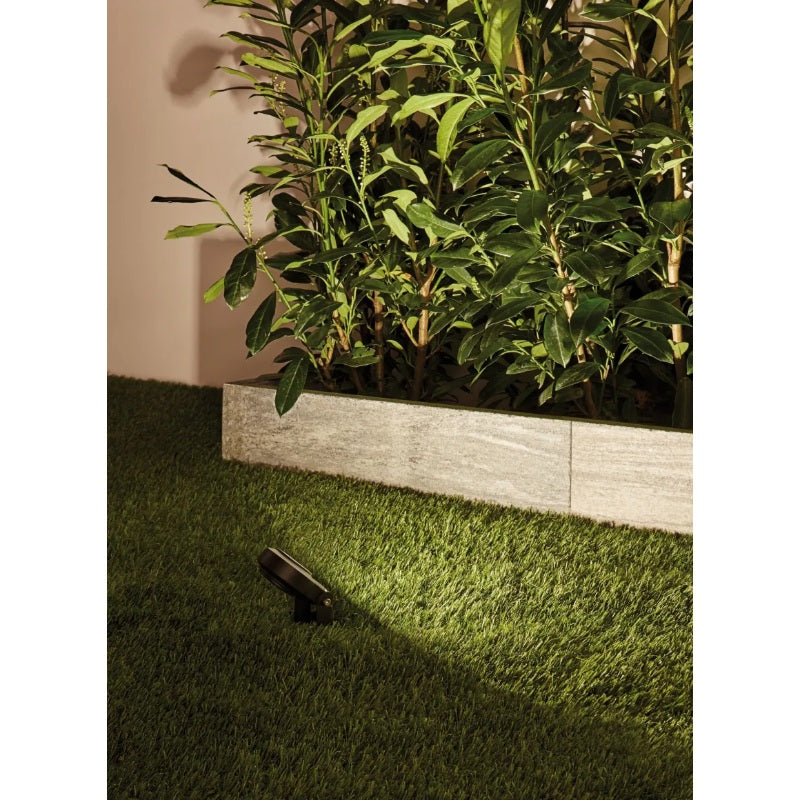 Outdoor Plug & Shine LED Garden Spotlight Sting