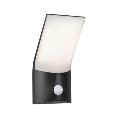 Outdoor 230V Adya LED Exterior Wall Light