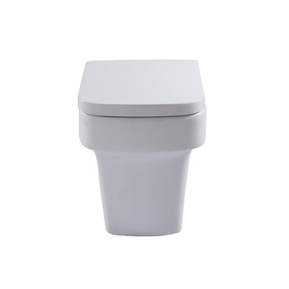 Aqua Medici Back to Wall Toilet with Soft Close Seat 