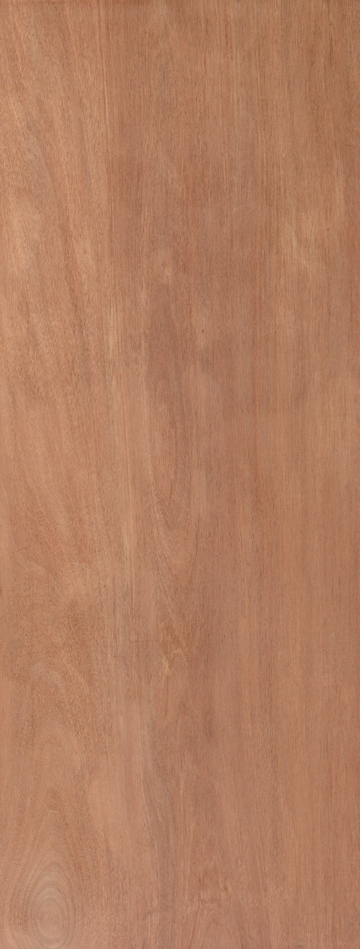 Image for JB Kind  Paintgrade Plywood  Exterior Door