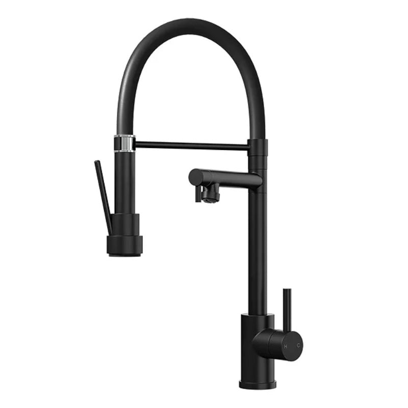 Ellsi Kitchen Sink Mixer w/ Smooth Rubber Hose and Flexi Spray - All Finishes